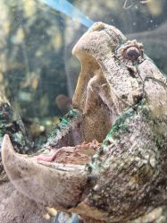 -Zoolung Zoolung动物主题公园(海信广场店)