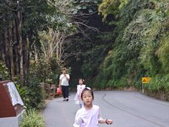 -西双版纳原始森林公园