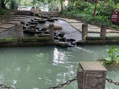 -成都市活水公园
