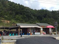 -玉苍山国家森林公园
