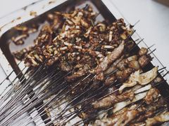 烤肉筋-宋文成烤肉(白沙巷店)