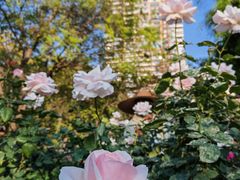 -人民公园(罗湖区)