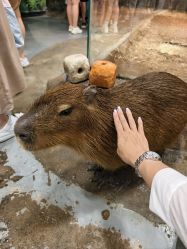 点击看大图 -Zoolung Zoolung动物主题公园(海信广场店)
