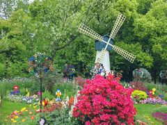 -上海共青森林公园