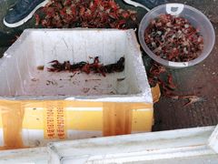 -马王堆海鲜水产市场