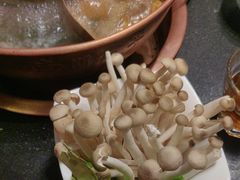 -南门四季铜锅涮肉(大屯·北苑店)