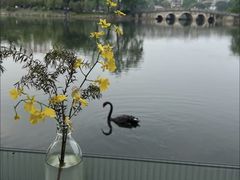 -东山湖公园