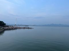 -深圳湾公园(南山区)