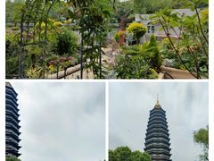 -红梅公园