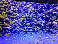 -成都浩海立方海洋公园