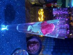 android_upload_pic-东方金柜(郑州金水印象汇店)