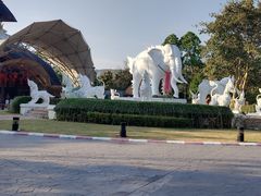 -清迈夜间动物园