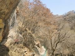 -少华山国家森林公园