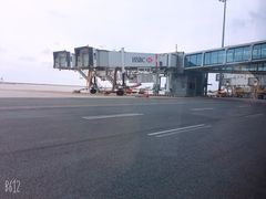 -上海浦东国际机场-T2航站楼