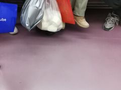 -洛可可·安妮贝可生日蛋糕(胡家庙店)