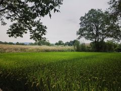 -良渚古城遗址公园