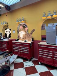 -Devilhands Barbershop男士理容店