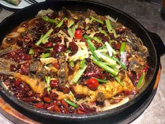 -老板恋上鱼(恒隆广场店)