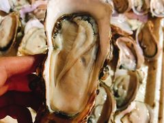 生蚝-齿留香湛江生蚝(白沙大道西店)