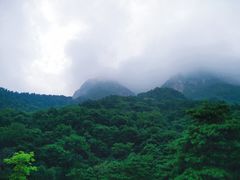 -陕西省红河谷森林公园
