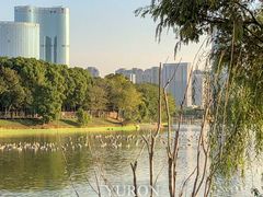 -艾溪湖湿地公园