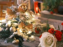 -宜家家居(高新商场店)