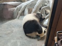 -宁波野生动物园