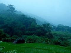 景点-四会奇石河风景区