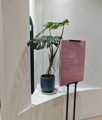 -KeCare科颜精准护肤