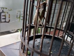 -御面斋精品面馆