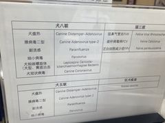 -申普宠物医院·心脏介入·心血管微创(总院)