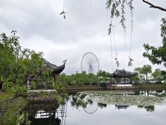-无锡蠡湖国家湿地公园-蠡园