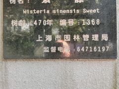-紫藤宾馆