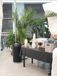-BOF HAIR BY HONTO
