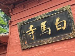-洛阳白马寺