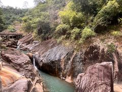 -广州白江湖森林公园