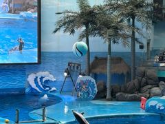 -海合安成都极地海洋公园