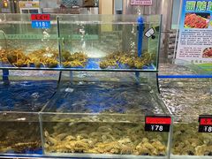 水产区-绿雅居原生态农庄(小涌店)