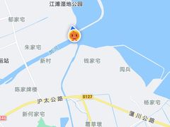 -江滩湿地公园
