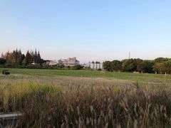 -嘉北郊野公园
