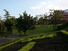 -广西壮族自治区药用植物园