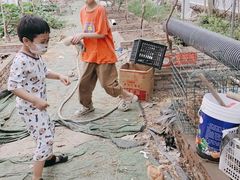 -马陆小张葡萄园农家乐