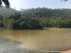 -滴水岩森林公园