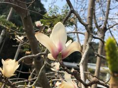 -广东温泉宾馆