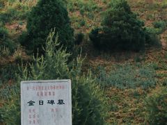 -茂陵博物馆