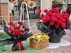 -西安电影制片厂