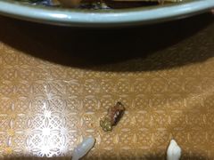 -华味家大食堂(安远路店)