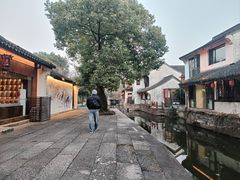 -鲁镇