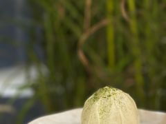 -Toris(LuOne凯德晶萃广场店)