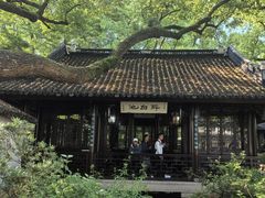 -上海醉白池公园